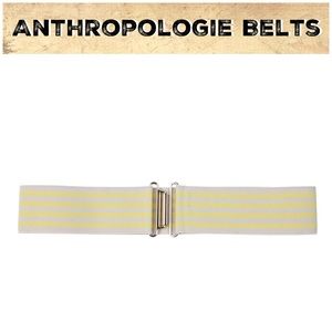 2006 Anthro “Wink Wink Belt”